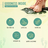 Glamveda Happy Foot Care Cream for Cracked Heels | Nourishment & Hydration