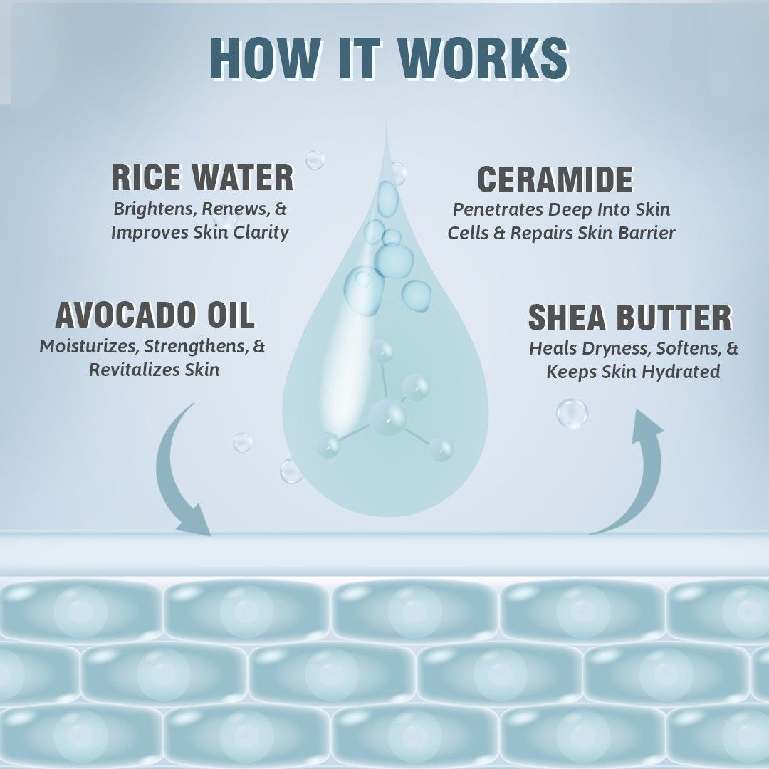 Rice & Ceramide Glass Skin Body Lotion Moisturizer| Deep Nourishment | 24 hrs Moisture lock