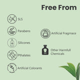 Free from Glamveda Tea tree Anti Acne Mud Pack