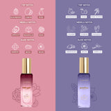 Scent Seduction  - Date Night +Seductress+Vanilla Elixir+Coffee Date | Luxury Pure Perfume Gift Set for Women 4 x 20ml